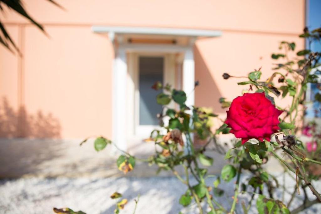 Dolce Dormire Civitanova Civitanova Marche Dış mekan fotoğraf